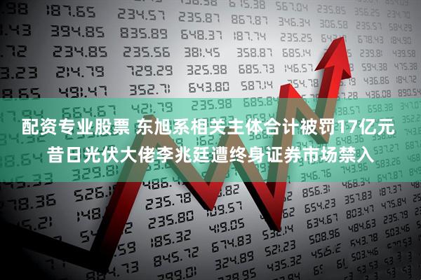 配资专业股票 东旭系相关主体合计被罚17亿元 昔日光伏大佬李兆廷遭终身证券市场禁入