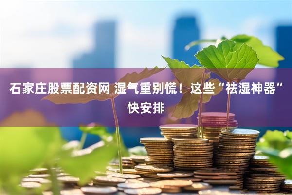 石家庄股票配资网 湿气重别慌！这些“祛湿神器”快安排