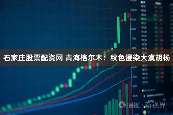石家庄股票配资网 青海格尔木：秋色浸染大漠胡杨
