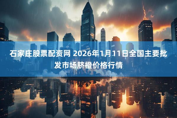 石家庄股票配资网 2026年1月11日全国主要批发市场脐橙价格行情